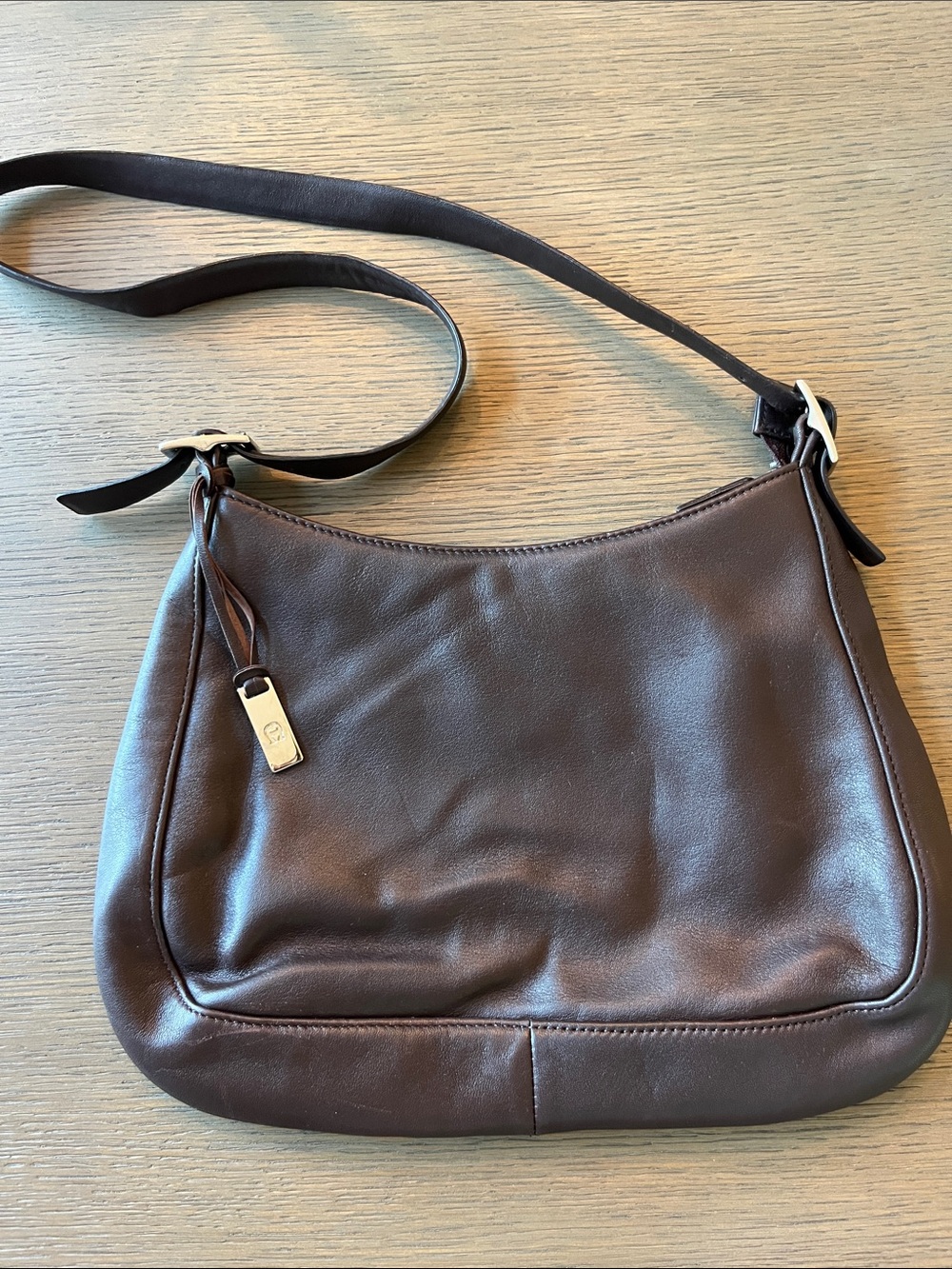 Etienne Aigner Dark Brown Leather Shoulder Bag with Silver-Tone Hardware